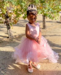 The Pretty In Pink Butterfly Dress