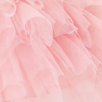 Blush Dreams Flower Girl Dress