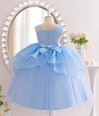 Girls Floral Ruffle Princess Dress
