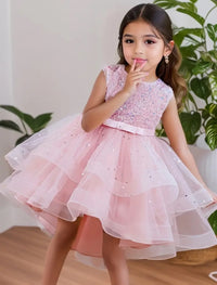 The Evening in Paris Dress