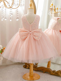 The Princess Palace Party Dress