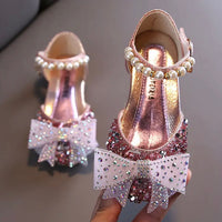 The Cinderella Shoe