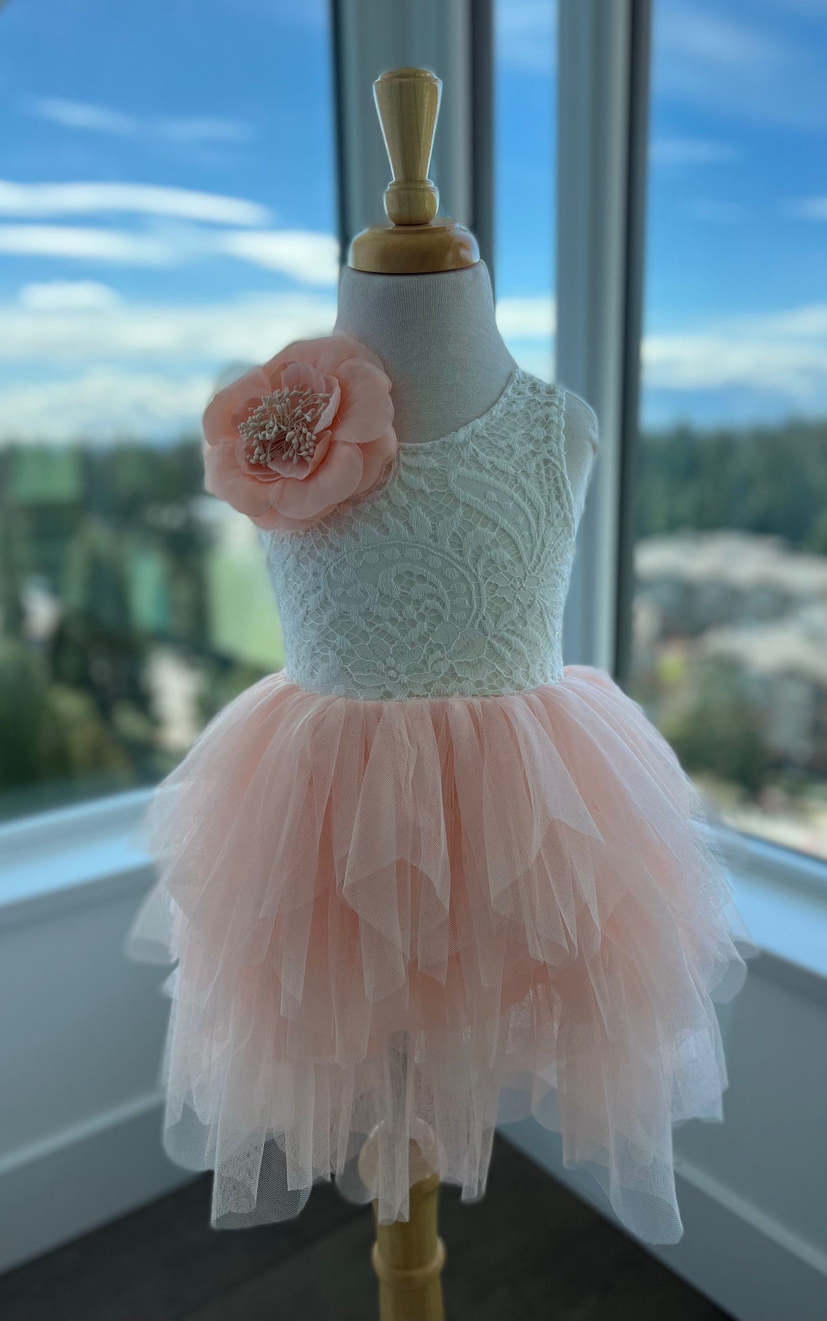 The Ballerina Dress