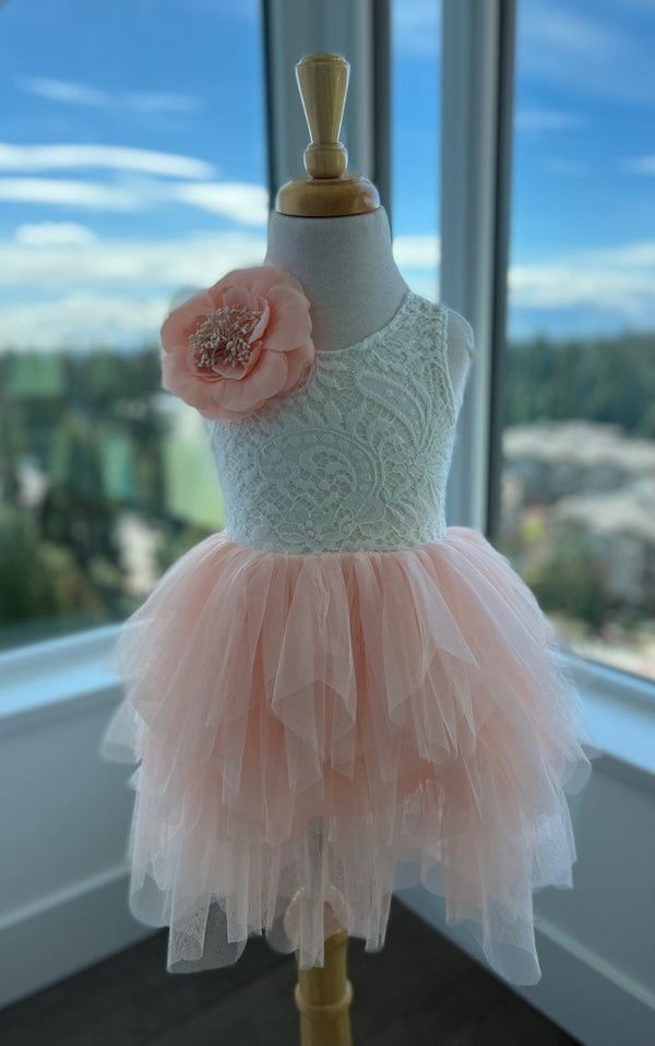 The Ballerina Dress