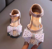 The Cinderella Shoe